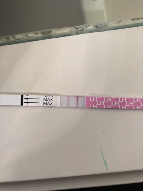 My First Positive Ovulation Test