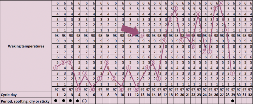 The 18 Months Of Tracking That Taught Me My Body Was Not A Spreadsheet
