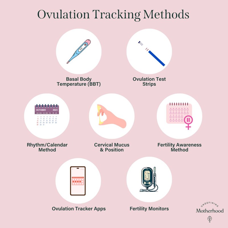 Tracking Ovulation Without Spending Money