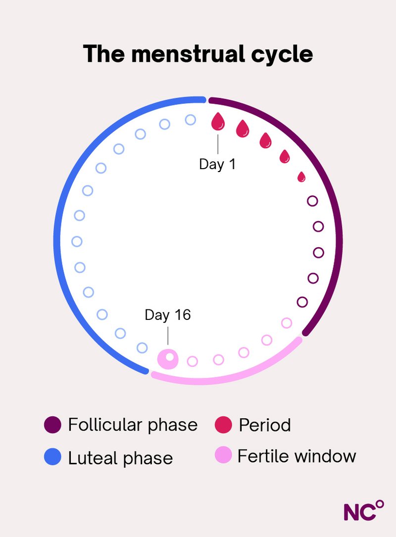 What Happened When I Missed My Fertile Window
