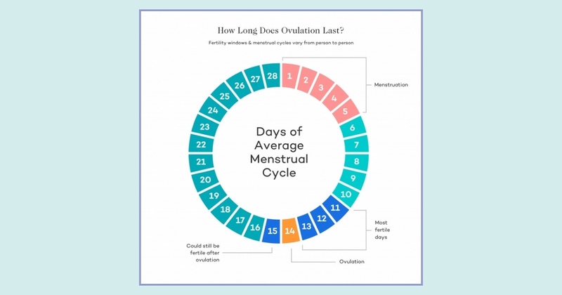 Why My Cycle Length Keeps Changing